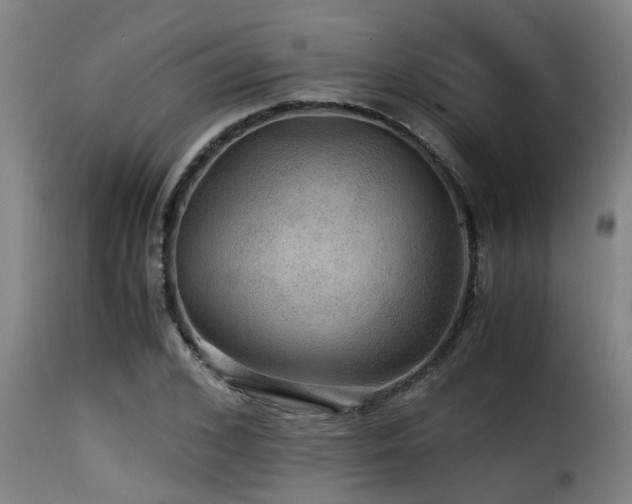 X0000116000976200911191420