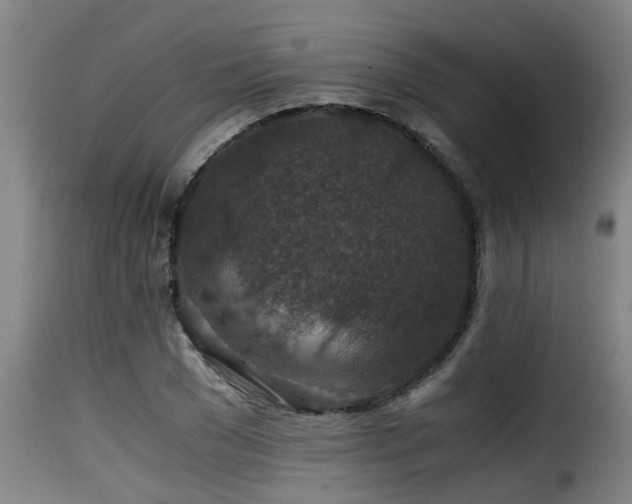 X0000116000977200911191420