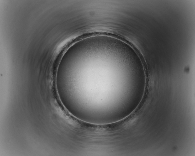 X0000116000979200911191420