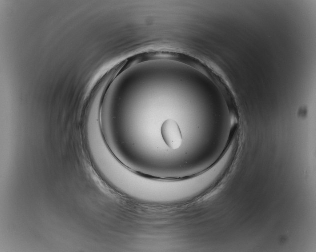 X0000116000981200911191420