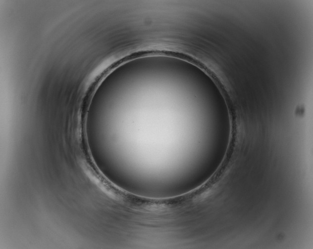 X0000116000982200911191420