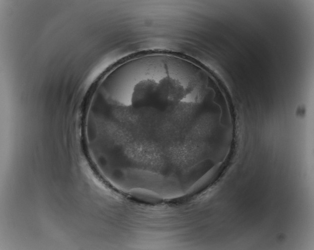 X0000116000983200911191420