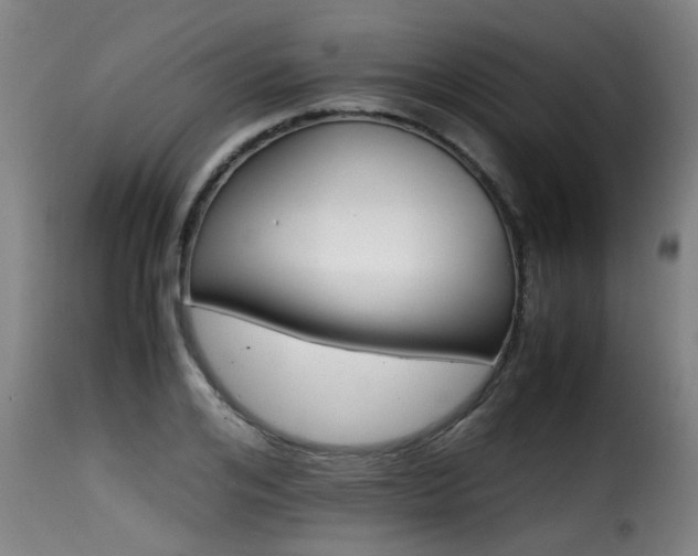 X0000116000984200911191420