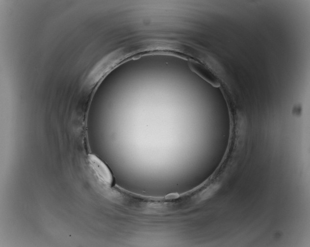 X0000116000985200911191420