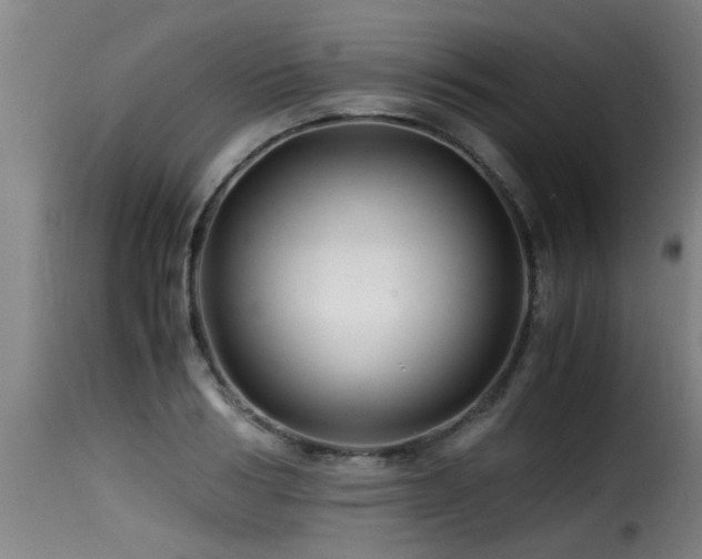 X0000116000986200911191420