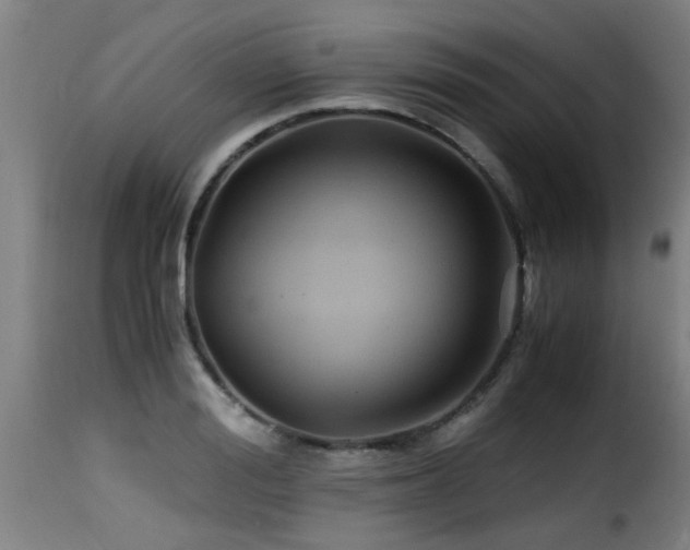 X0000116000988200911191420