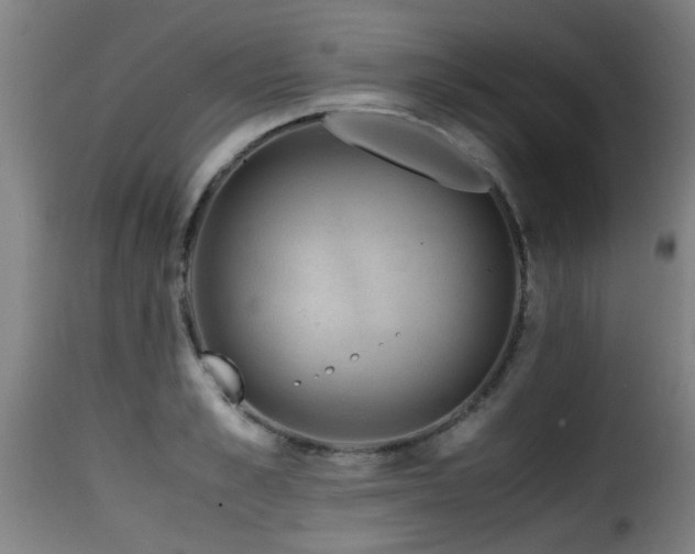 X0000116000989200911191420