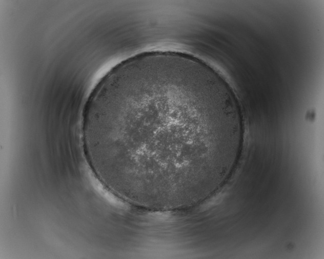 X0000116000990200911191420