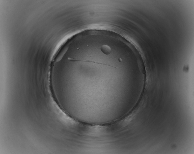 X0000116000992200911191420