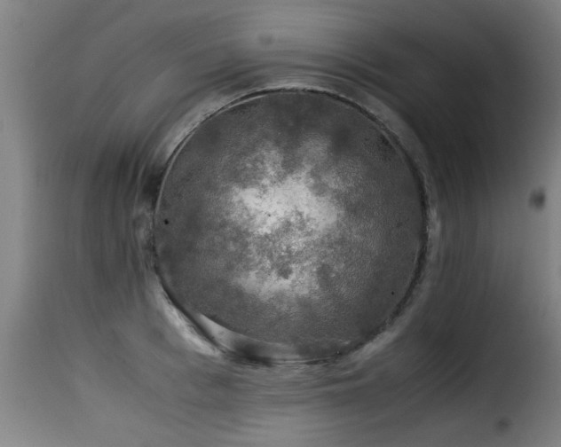 X0000116000993200911191420