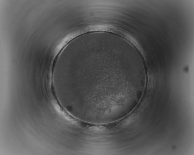 X0000116000994200911191420