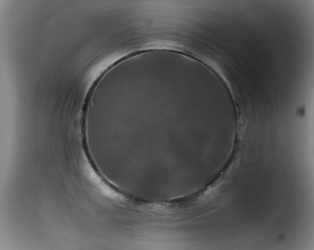 X0000116000995200911191420