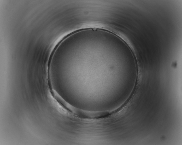 X0000116000996200911191420