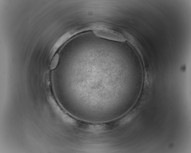 X0000116000997200911191420