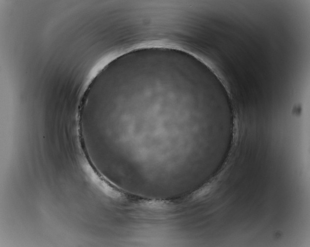 X0000116000998200911191420