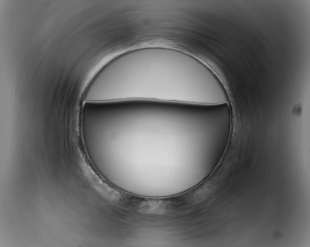 X0000116001000200911191420