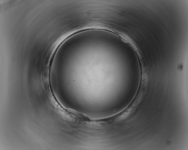 X0000116001004200911191420