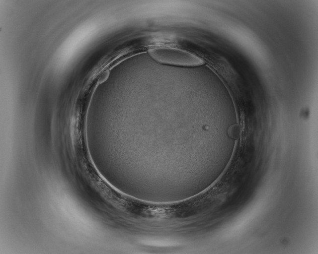 X0000116001005200911191420