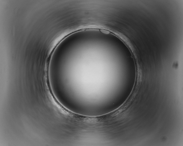 X0000116001006200911191420