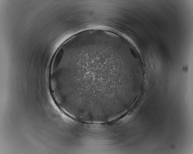 X0000116001007200911191420