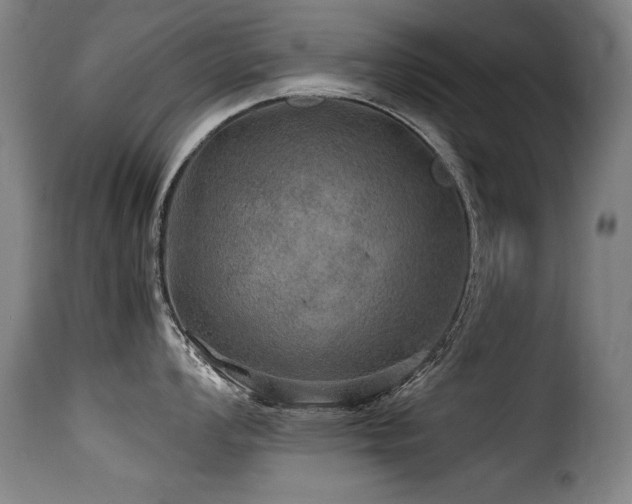 X0000116001008200911191420