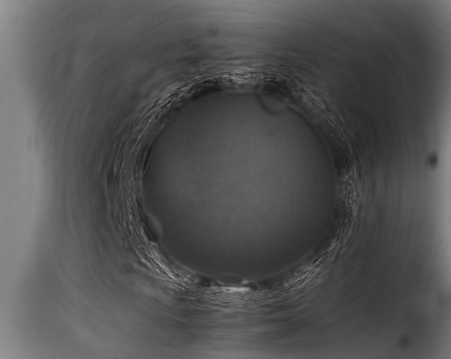 X0000116001009200911191419