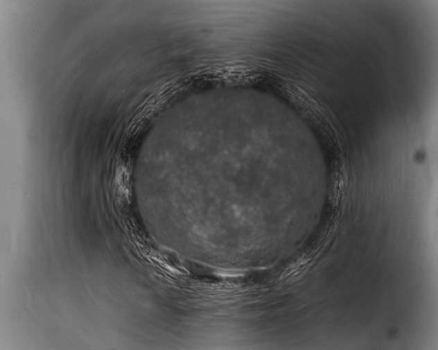 X0000116001010200911191419