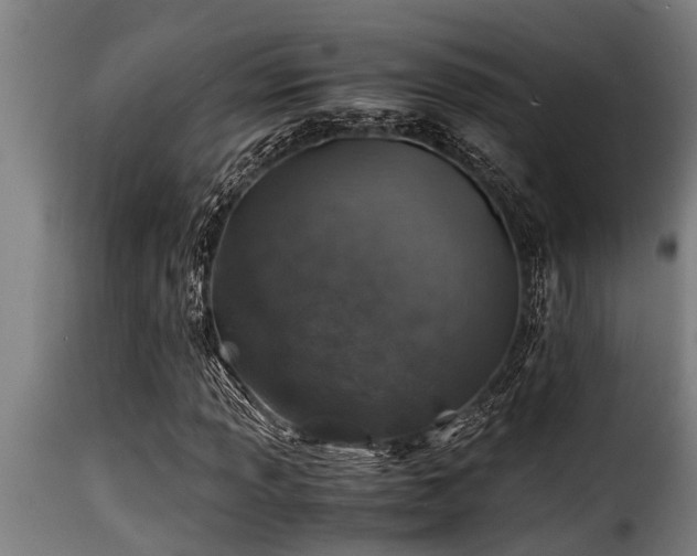 X0000116001013200911191419