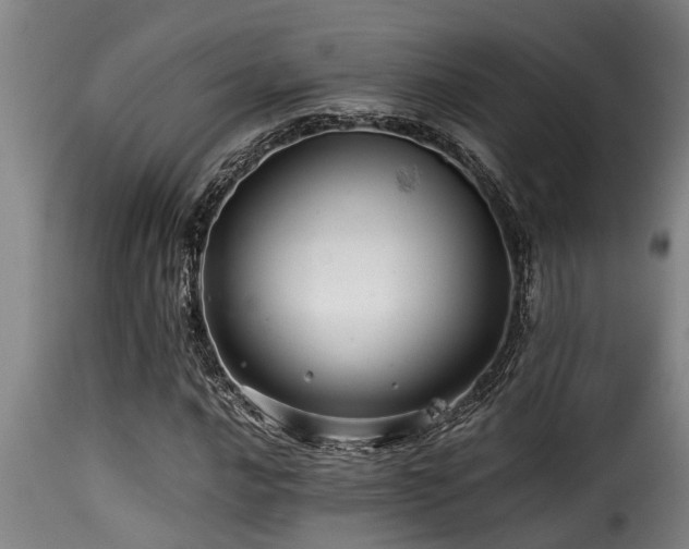 X0000116001016200911191419