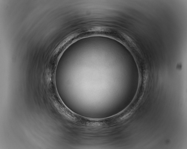 X0000116001017200911191419