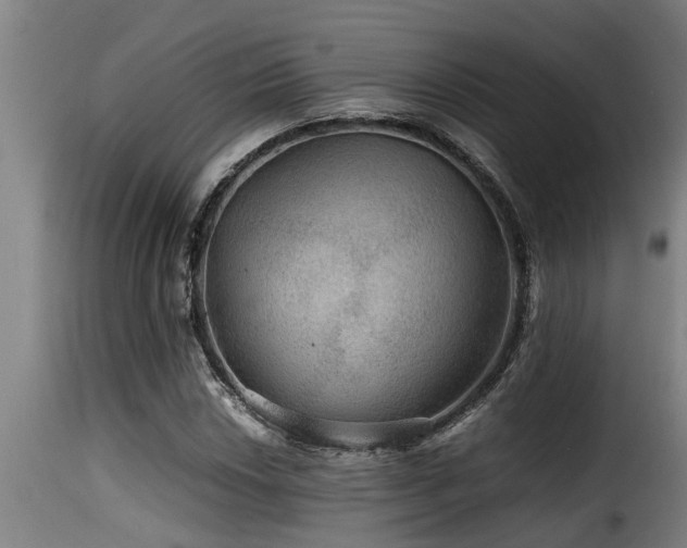 X0000116001018200911191419