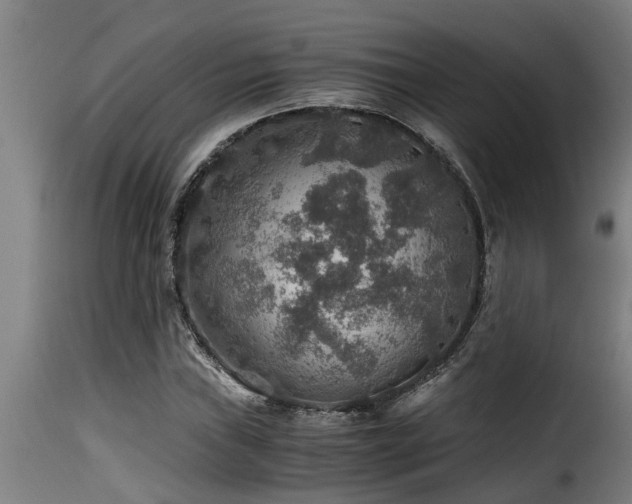 X0000116001019200911191419