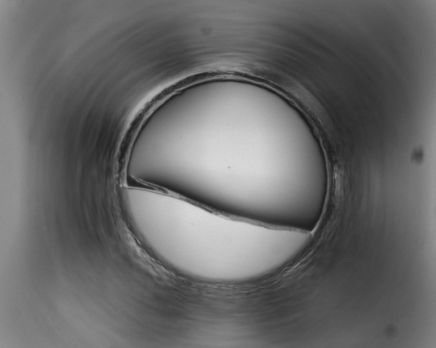 X0000116001020200911191419