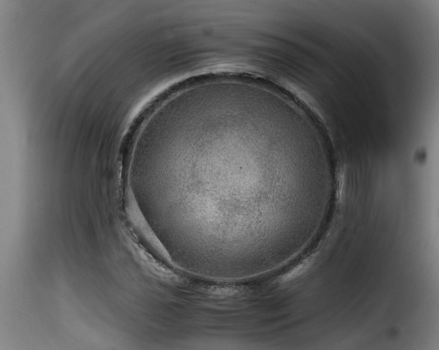 X0000116001021200911191419