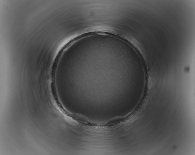 X0000116001024200911191419