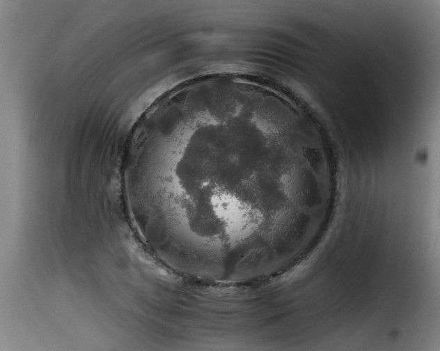 X0000116001025200911191419