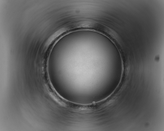 X0000116001026200911191419