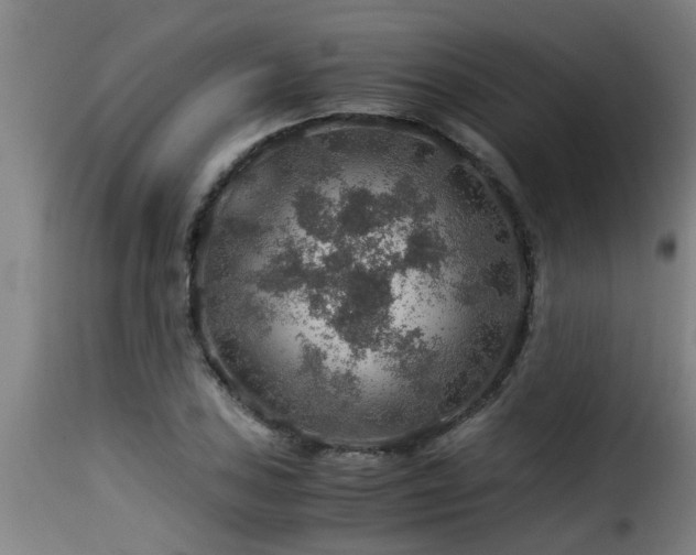 X0000116001027200911191419