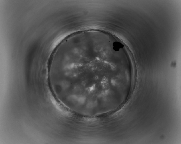 X0000116001031200911191420