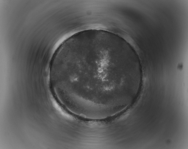 X0000116001032200911191420