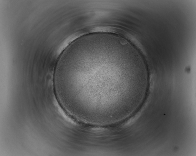 X0000116001033200911191420