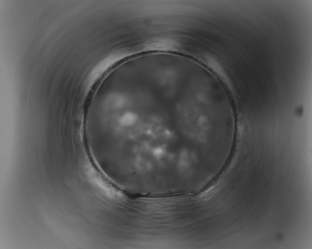 X0000116001035200911191420