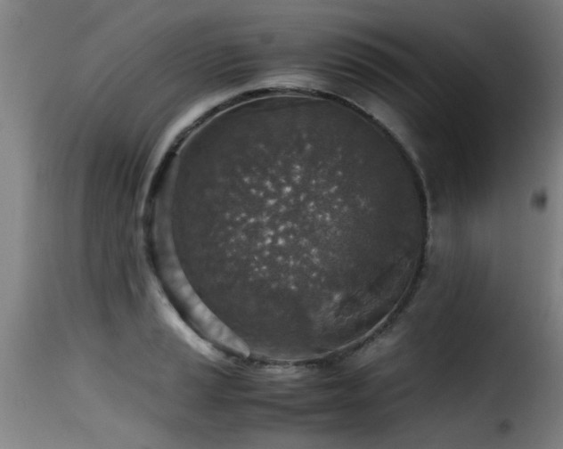 X0000116001037200911191420