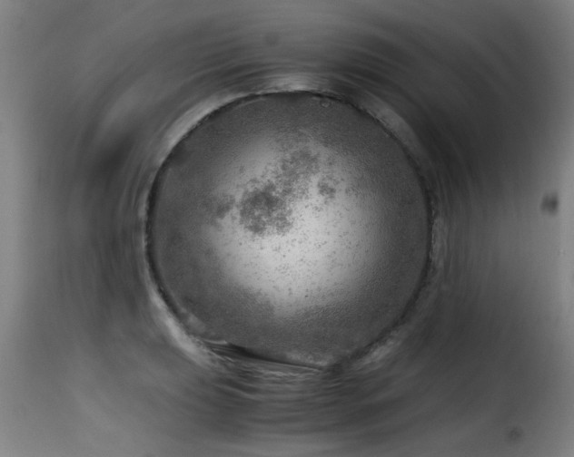 X0000116001039200911191420