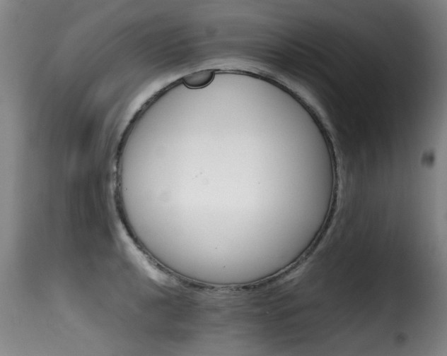 X0000116001040200911191420