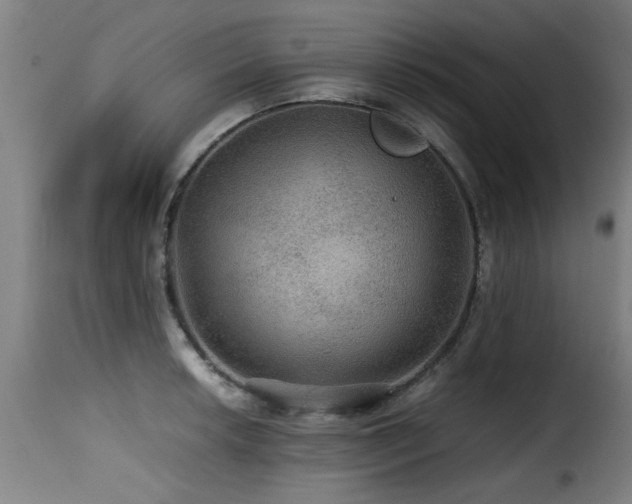 X0000116001042200911191420