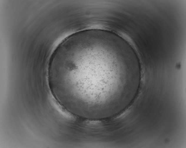 X0000116001043200911191420