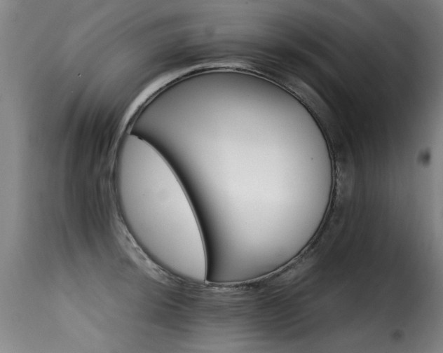 X0000116001044200911191420