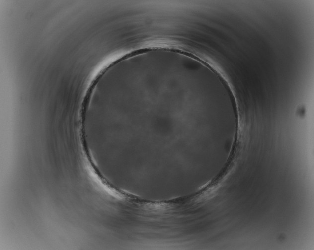 X0000116001045200911191420