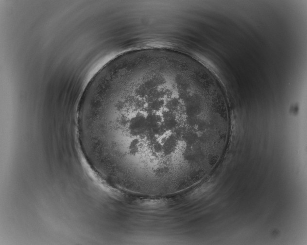 X0000116001047200911191420